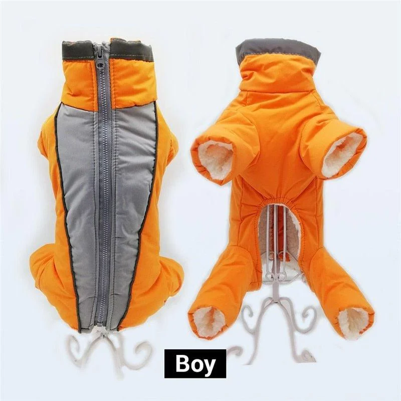 boy orange