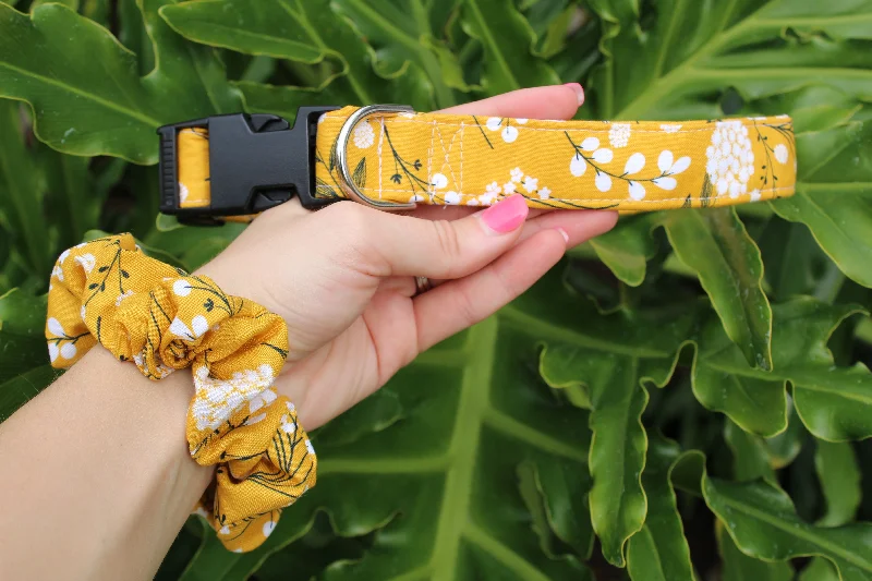 Woodland Dog Collars