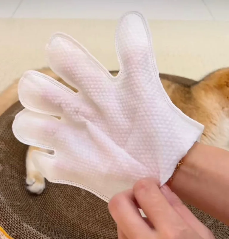 Cleaning Glove Wipes- Perfect Glove for dogs & Cats