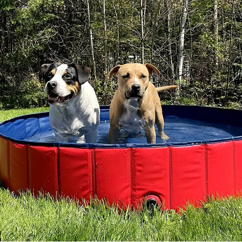 Dog Paddling Pool - Foldable - Durable - Portable