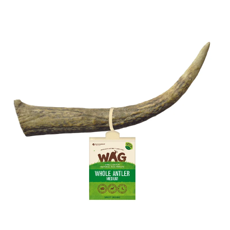 WAG Dog Treat Antler Whole